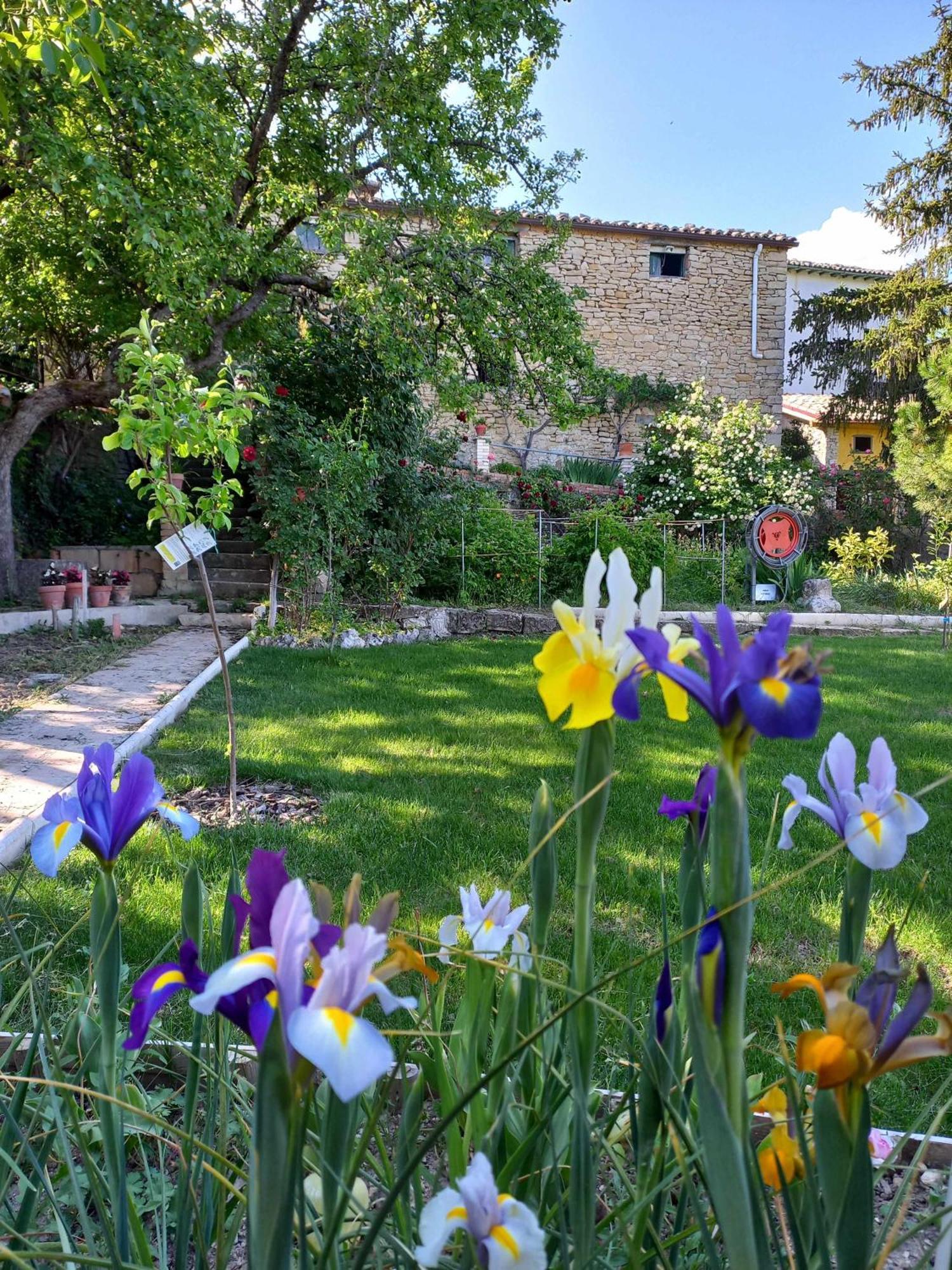 Casa Albaitar, alojamiento rural con jardin Azcona Exterior foto