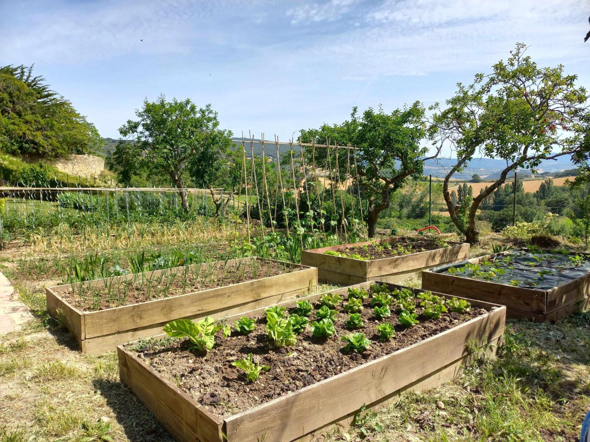 Casa Albaitar, alojamiento rural con jardin Azcona Exterior foto